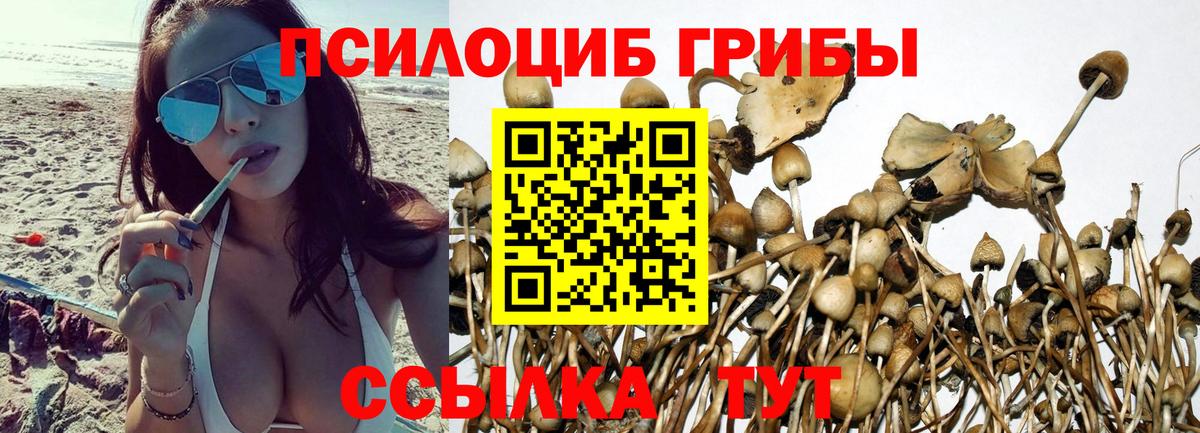 Псилоцибиновые грибы ЛСД  Вход с VPN  Кашира 